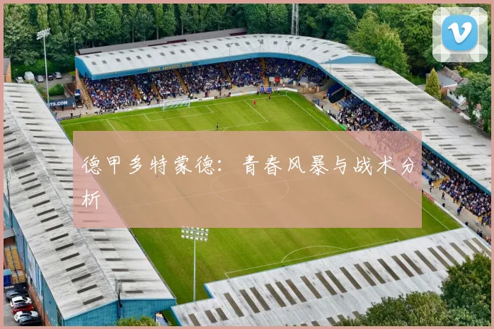 德甲多特蒙德:青春风暴与战术分析