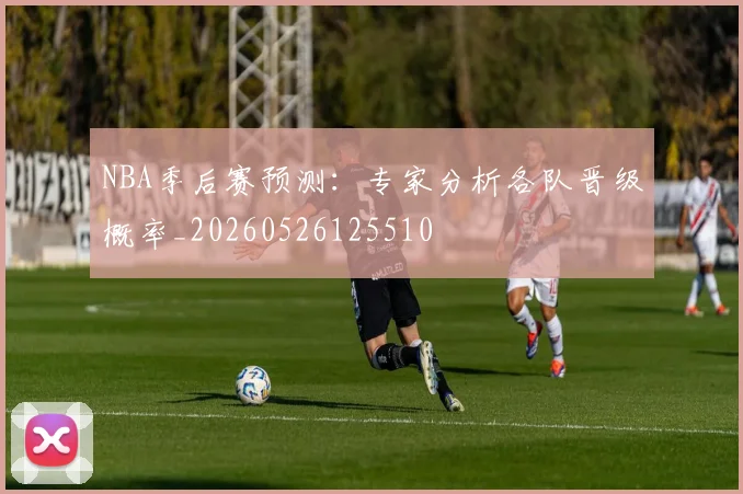 NBA季后赛预测：专家分析各队晋级概率_20260526125510