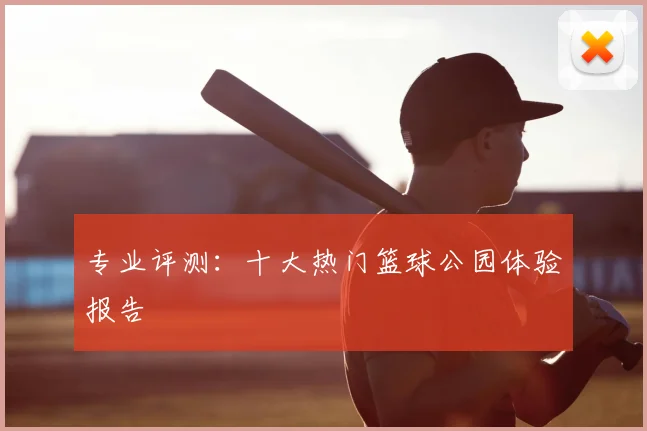 专业评测:十大热门篮球公园体验报告